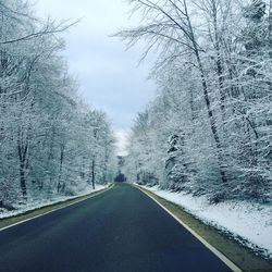 Road amidst trees during winter