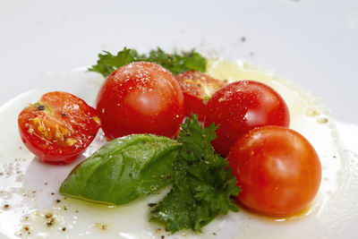 Close-up of salad in plate