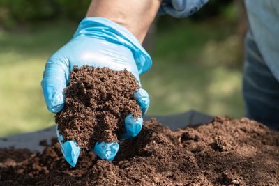 Midsection of man planting sapling