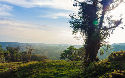 Scenic view of landscape against sky