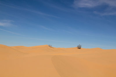 Scenic view of desert against blue sky