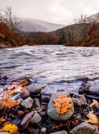 Surface level of rocks by river against sky