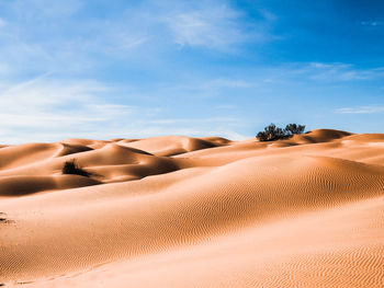 Sand dunes in desert against sky