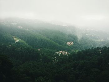 High angle view of trees on landscape