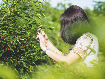 Side view of woman photographing plants through smart phone