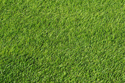 Full frame shot of soccer field