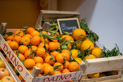 High angle view of fruits in basket