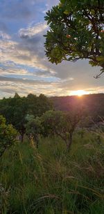 Scenic view of landscape against sky during sunset