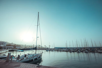 Sailboats in marina