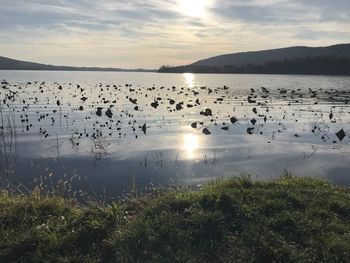 Scenic view of lake against sky during sunset