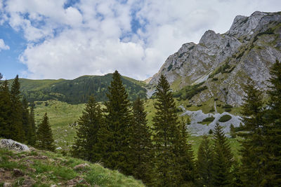 Scorota sheepfold in retezat mountain with peak forest blue sky