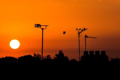 Low angle view of silhouette birds against orange sky