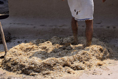 Low section of man working at beach