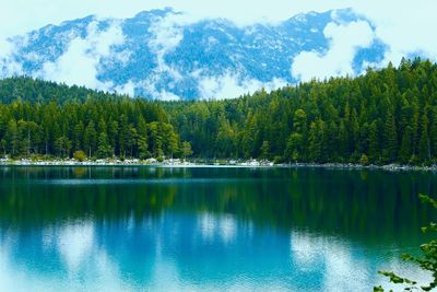 Scenic view of lake and trees against sky