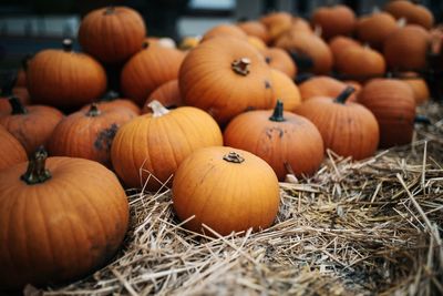 Pumpkins on hay