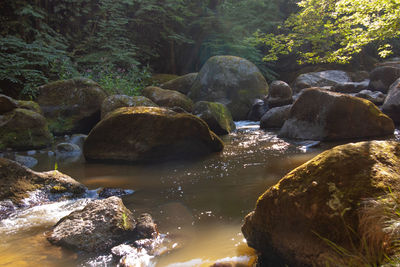 Rocks by river stream in forest