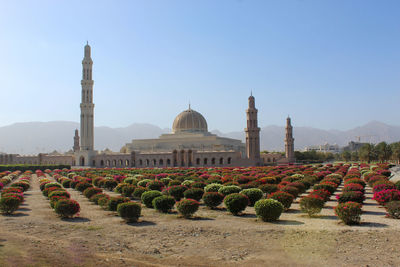 Plants growing outside temple against clear sky