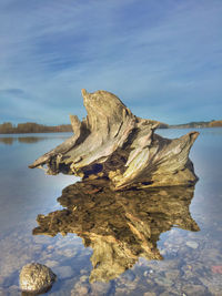 Driftwood on rock by lake against sky