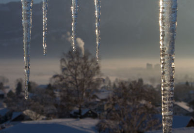Close-up of icicles on field against sky