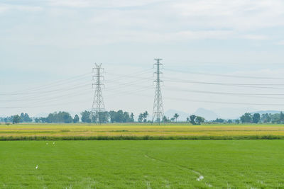 Electricity pylon on field against sky