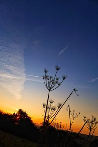 Silhouette tree on field against sky during sunset