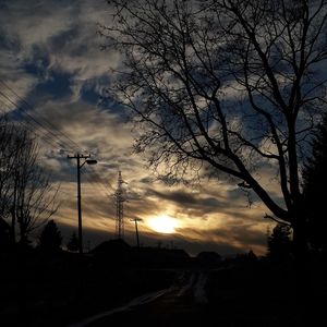 Low angle view of silhouette trees against sky during sunset