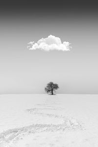 Scenic view of snow covered field against sky