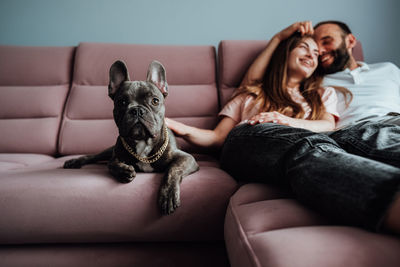 French bulldog with golden chain laying on pink sofa with cheerful owners woman and man
