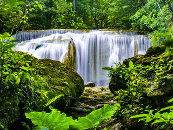 Scenic view of waterfall in forest