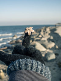 Close-up of hand holding leaf on beach against sky