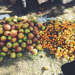 Close-up of fruits for sale