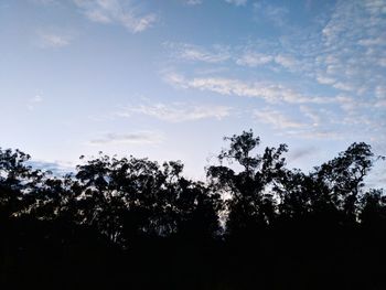 Low angle view of silhouette trees against sky