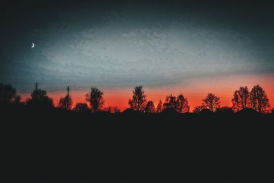 Silhouette trees against sky at sunset