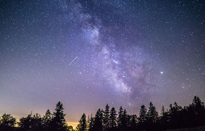 Low angle view of trees against milky way