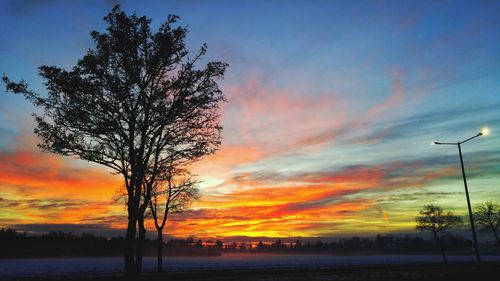 Silhouette tree against sky during sunset