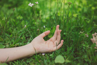 Cropped image of person hand on grassy field