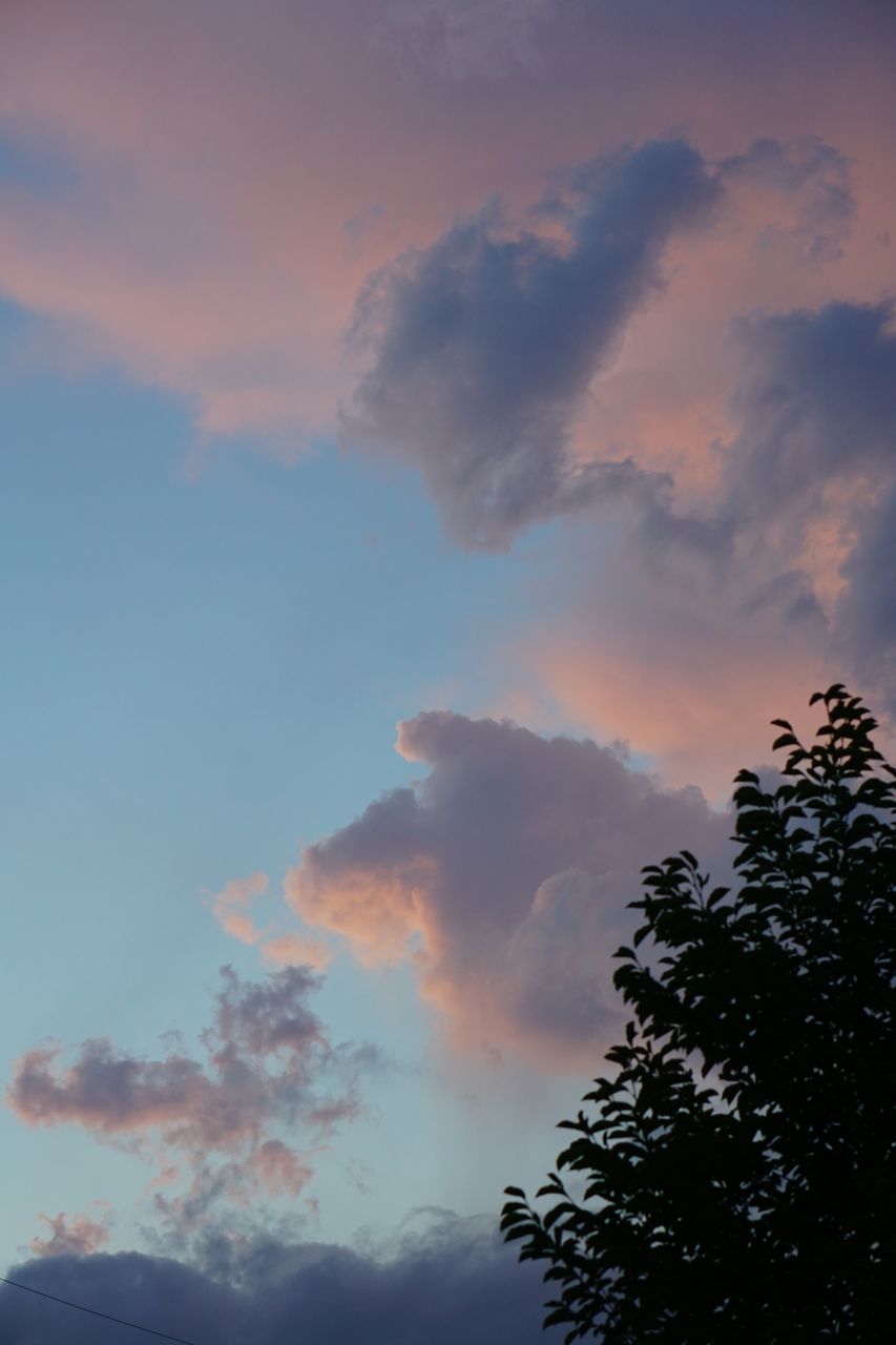 cloud - sky, sky, low angle view, beauty in nature, tree, tranquility, tranquil scene, scenics - nature, no people, sunset, plant, nature, idyllic, outdoors, silhouette, day, non-urban scene, orange color, growth, meteorology