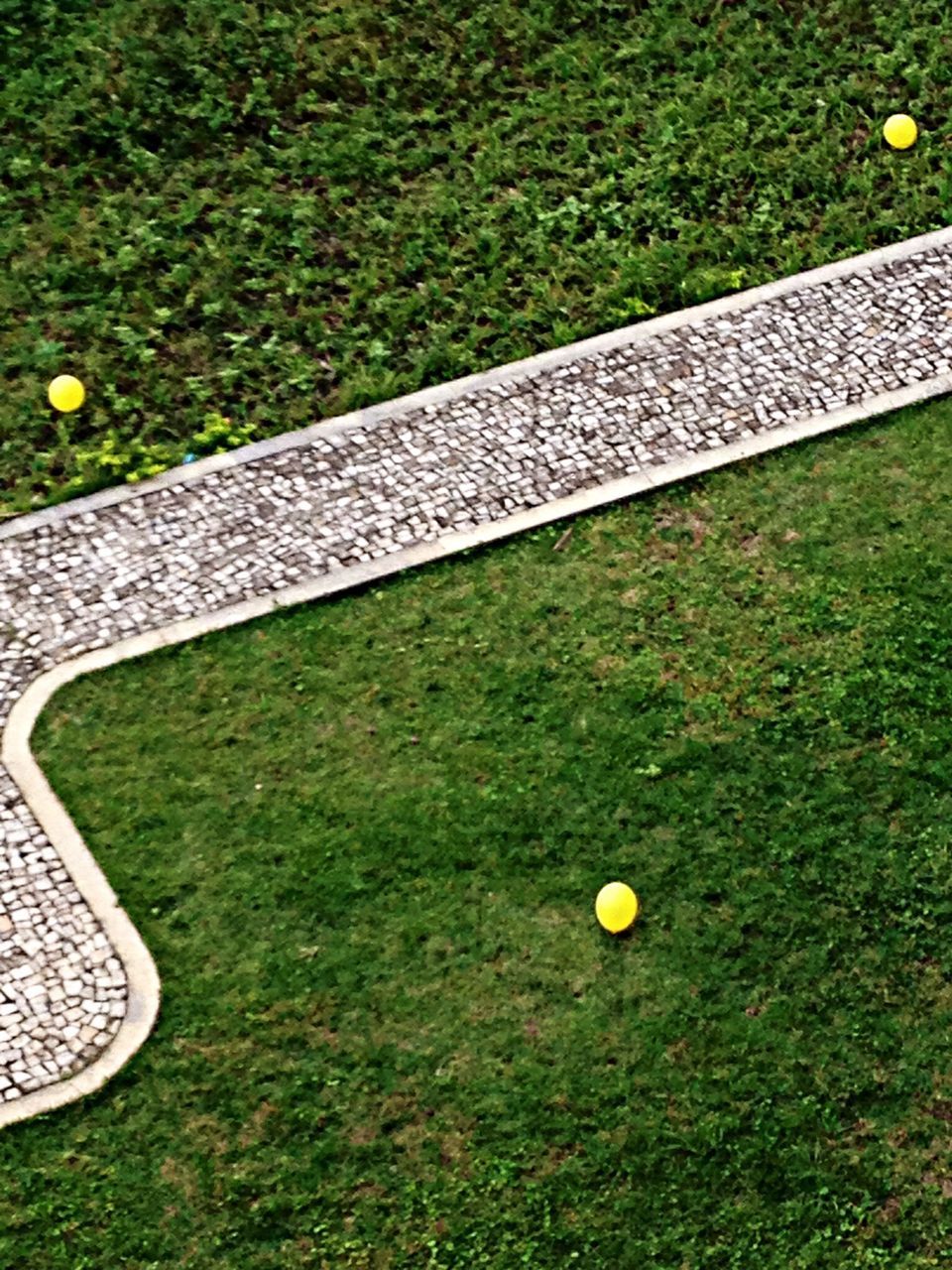 grass, field, grassy, green color, growth, nature, high angle view, no people, day, green, outdoors, yellow, park - man made space, grassland, sunlight, landscape, close-up, tranquility, lawn, grass area