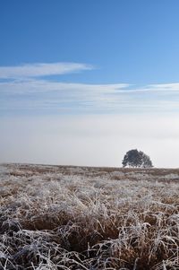 Scenic view of landscape against blue sky