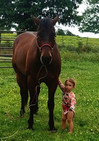 Full length of a horse standing on field