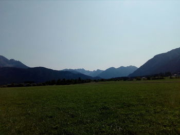 Scenic view of field against clear sky