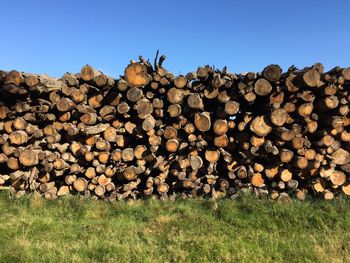 Stack of logs against clear sky