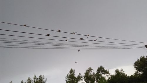 Low angle view of birds on cable against sky