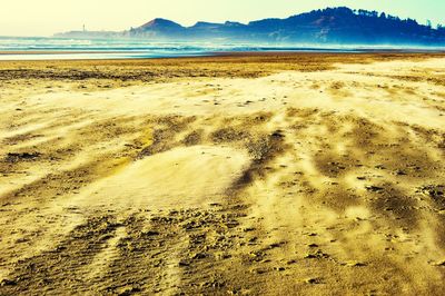 Scenic view of beach against sky