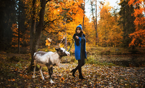 Woman with reindeer walking in forest during autumn