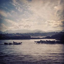 Boats in sea with mountains in background