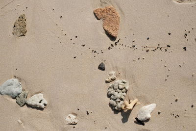 High angle view of footprints on sand