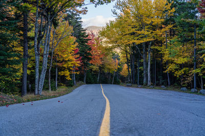 Empty road along trees during autumn