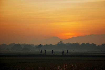 Scenic view of field against orange sky