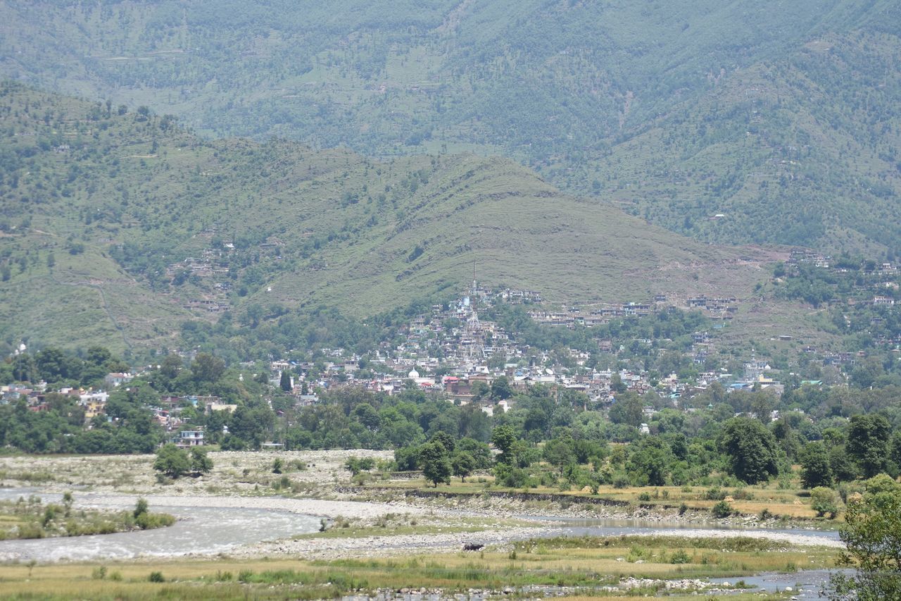 HIGH ANGLE VIEW OF TREES ON FIELD AGAINST MOUNTAIN